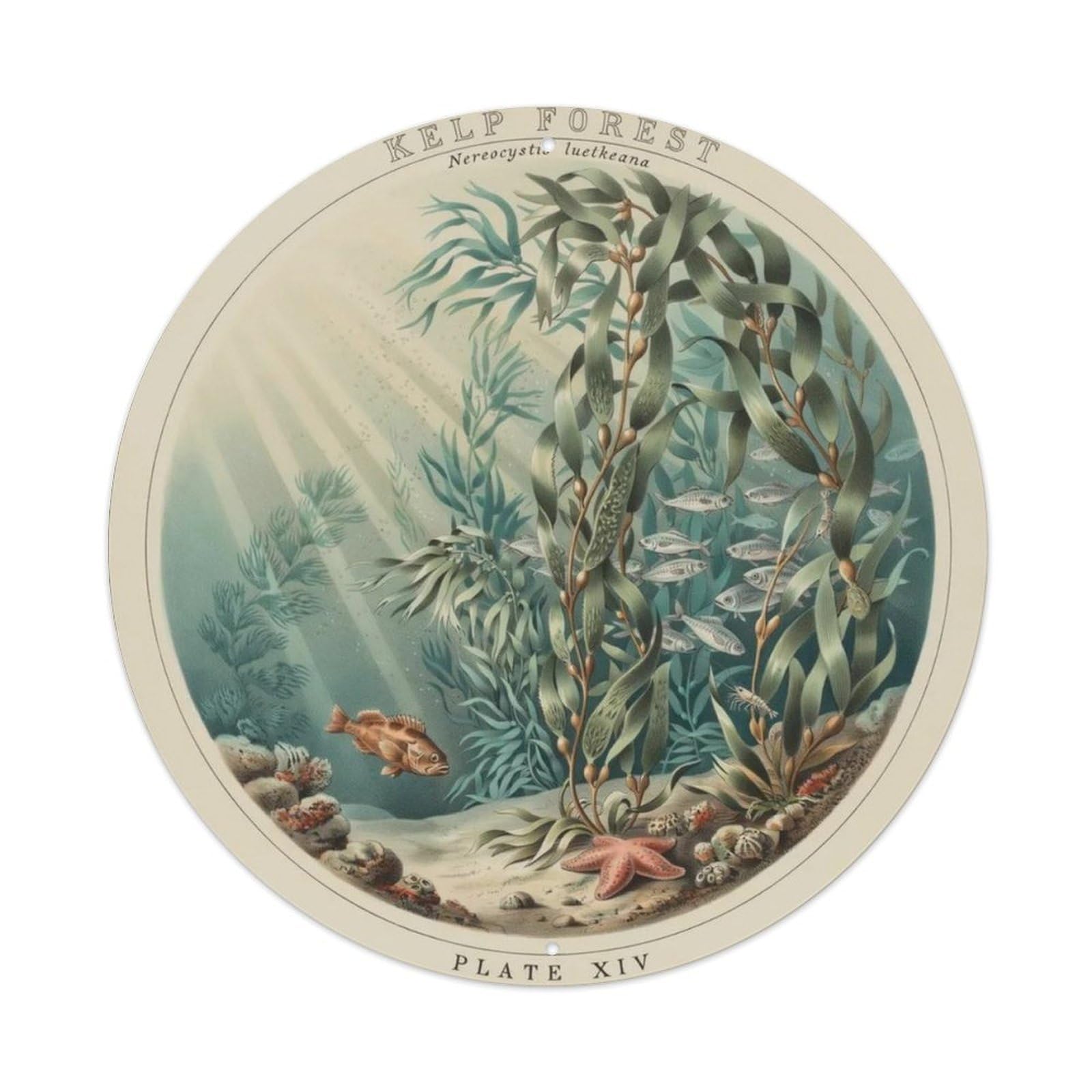 Vintage Kelp Forest Metal Tin Sign Plaque