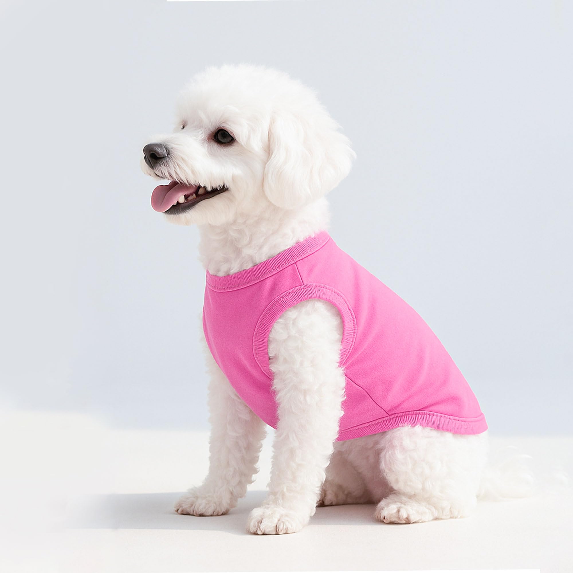 2 Pieces Dog Clothes for Small Dogs Girl Boy Spring Summer Puppy Soft Dog Shirt Solid Color Chihuahua Clothes Pet Clothing Cute Cat Cloth XXS~M (Rose,Purple, XX-Small)