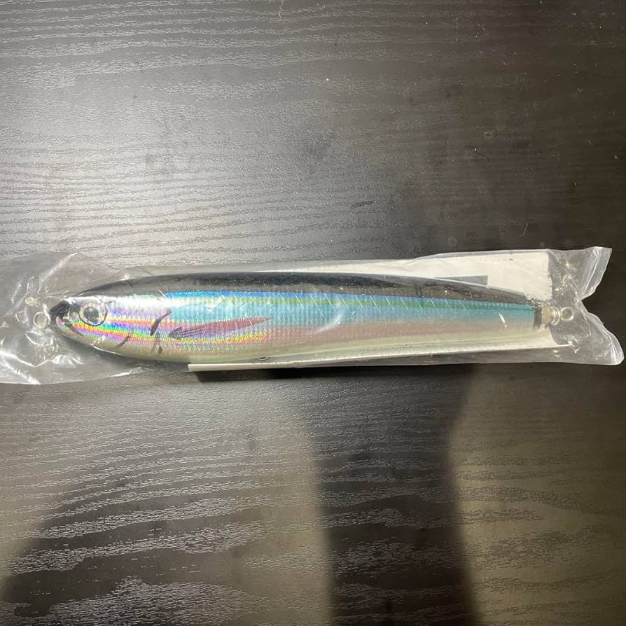 カーペンター　GTーγ200  グルクン カーペンターGTーγ200 グルクン