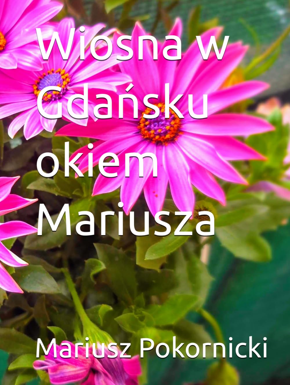Wiosna w Gdańsku okiem Mariusza: Edycja kolekcjonerska w twardej oprawie