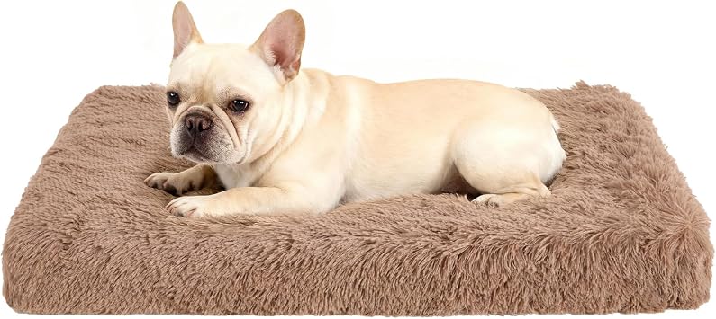Fluffy Orthopedic Dog Beds for Small Dogs with Washable Removable Cover Dog Crate Bed Egg Crate Foam Support Plush Pet Pad Mat with Anti-Slip Bottom 30 * 20,Khaki