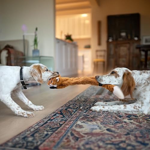 Vista 33 de SHARLOVY Paquete de 5 juguetes chirriantes para perros, juguete arrugado para mascotas, sin relleno, animales de peluche, masticables para perros