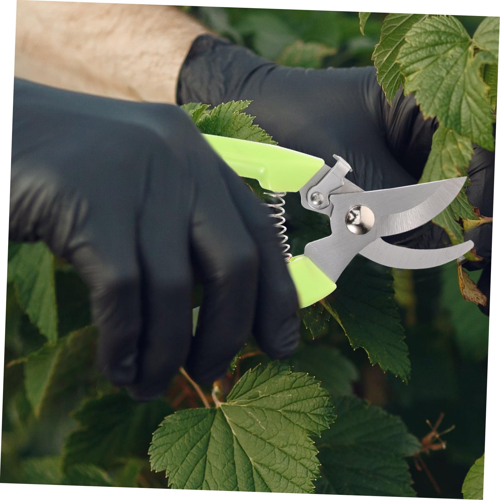 Toyvian 3 Sätze Garten Pflanzenschneider Teiliges Ergonomische Gartenscheren Für Obstschneiden Praktische Und Robuste Gartenschneidwerkzeuge Für Effektives Gärtnern 2 Stück * 3