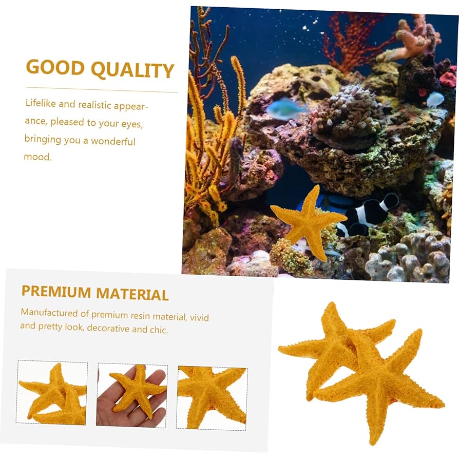 小さなヒトデ 小さなヒトデ - サイズ 9-20 mm13 個 小さなヒトデ..商品番号