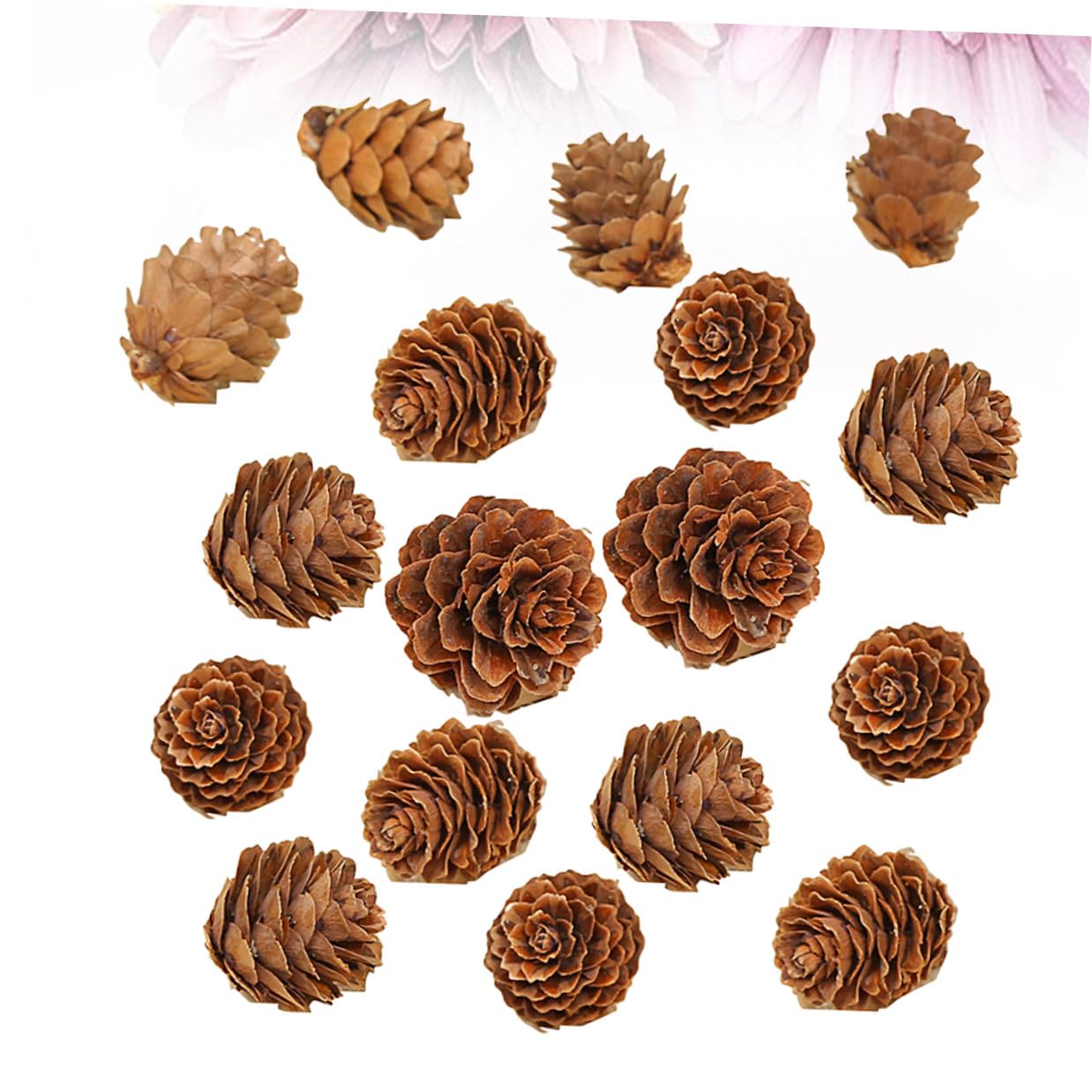210 Unidades Mini Piñas de Pino Naturales Decoración Rústica para Hogar Navidad Acción de Gracias Manualidades Ornamento Vegetal