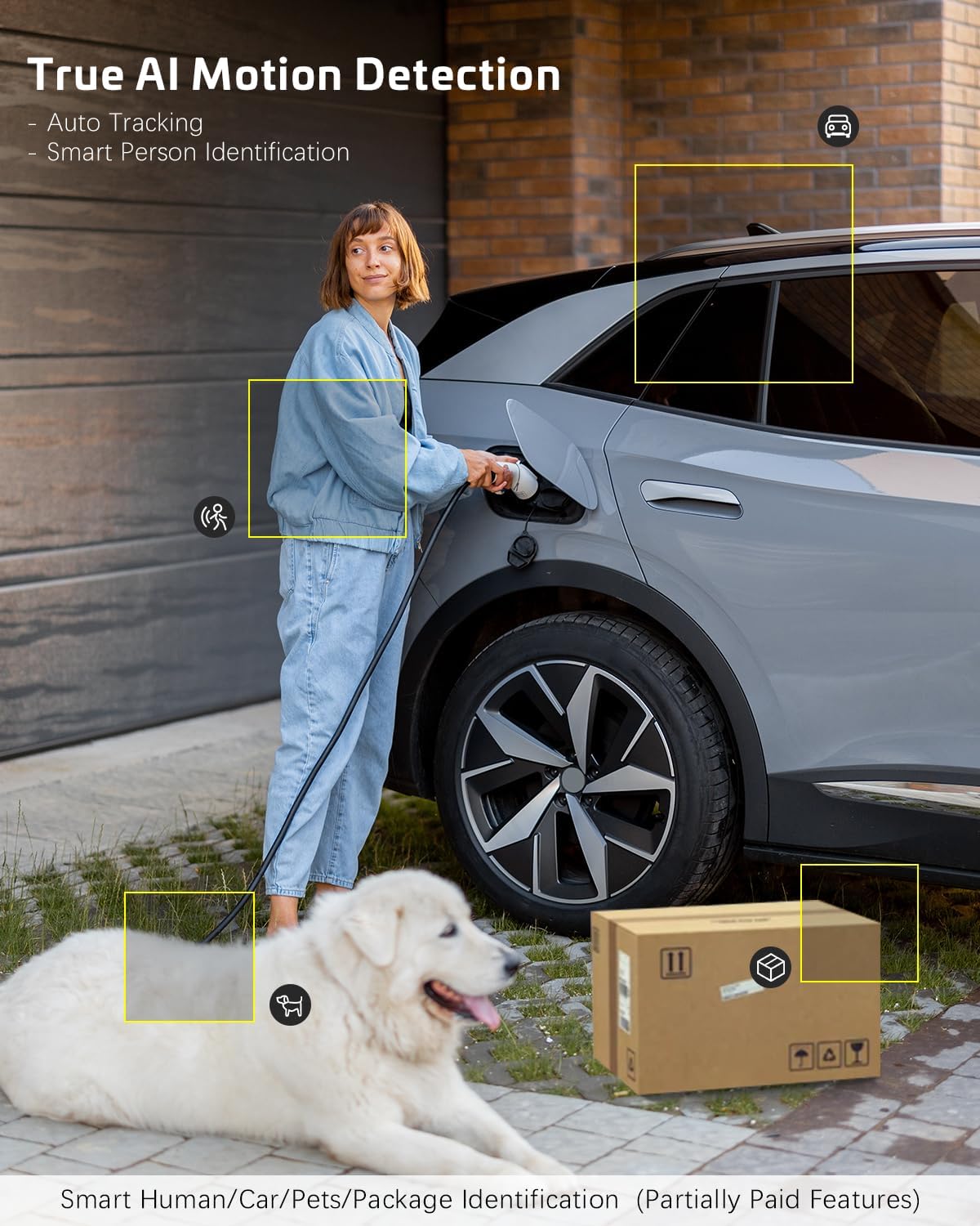COCOCAM camera with AI motion detection identifying a person, dog, car, and package