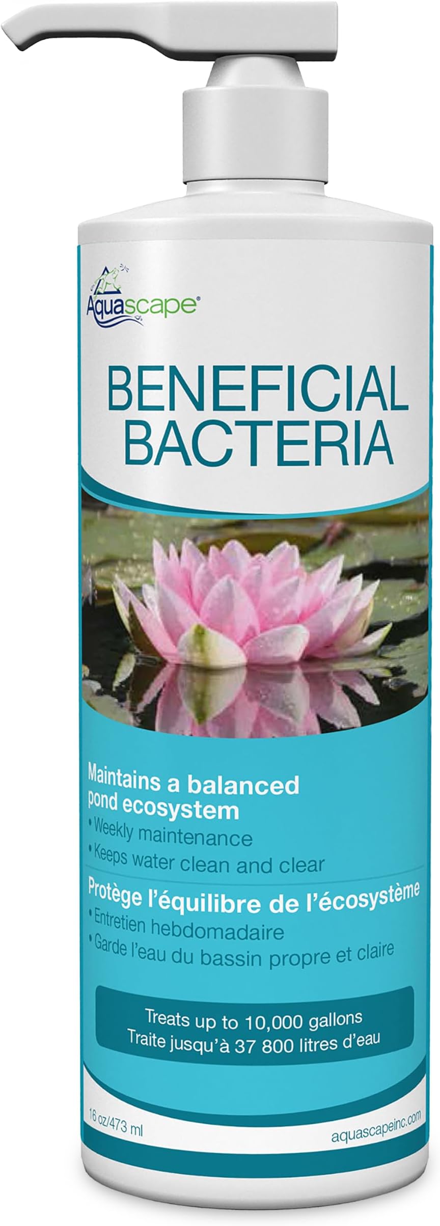 Aquascape Beneficial Bacteria Liquid Water Treatment for Ponds and Water Gardens (16 Oz / 473 ml)