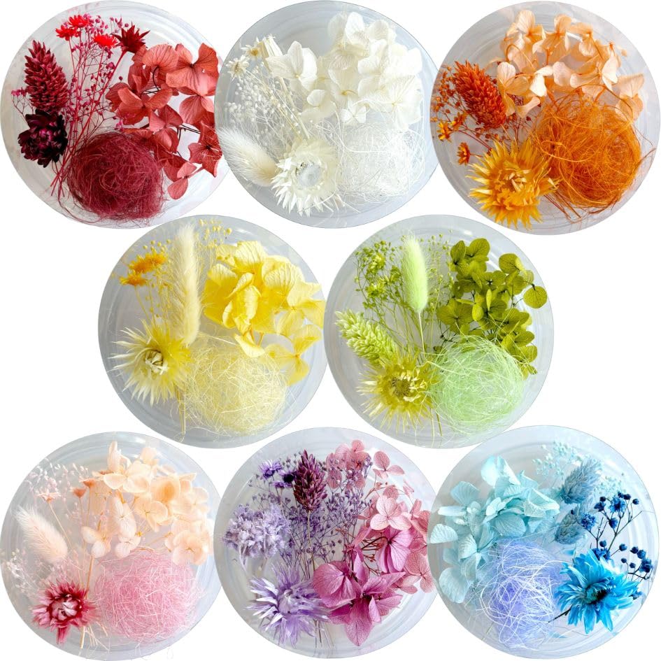 Amazon | ハーバリウム 花材セット 8色入り 花材の詰め合わせ 中身が