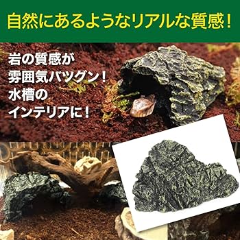 爬虫類シェルター　345 白マット×黒、ブルーとピンク、赤いヒトデ 爬虫類シェルター 345 白マット×黒、ブルーとピンク、赤いヒトデ