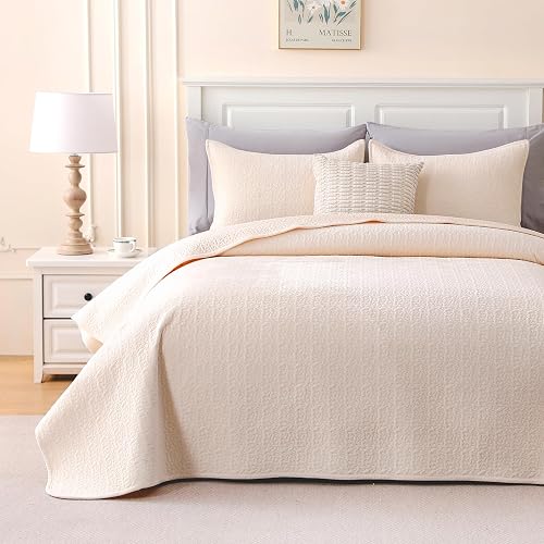 Lilisbed Velvet Quilt Set Queen Size - 3-Piece Lightweight Bedding, Soft Velvet 