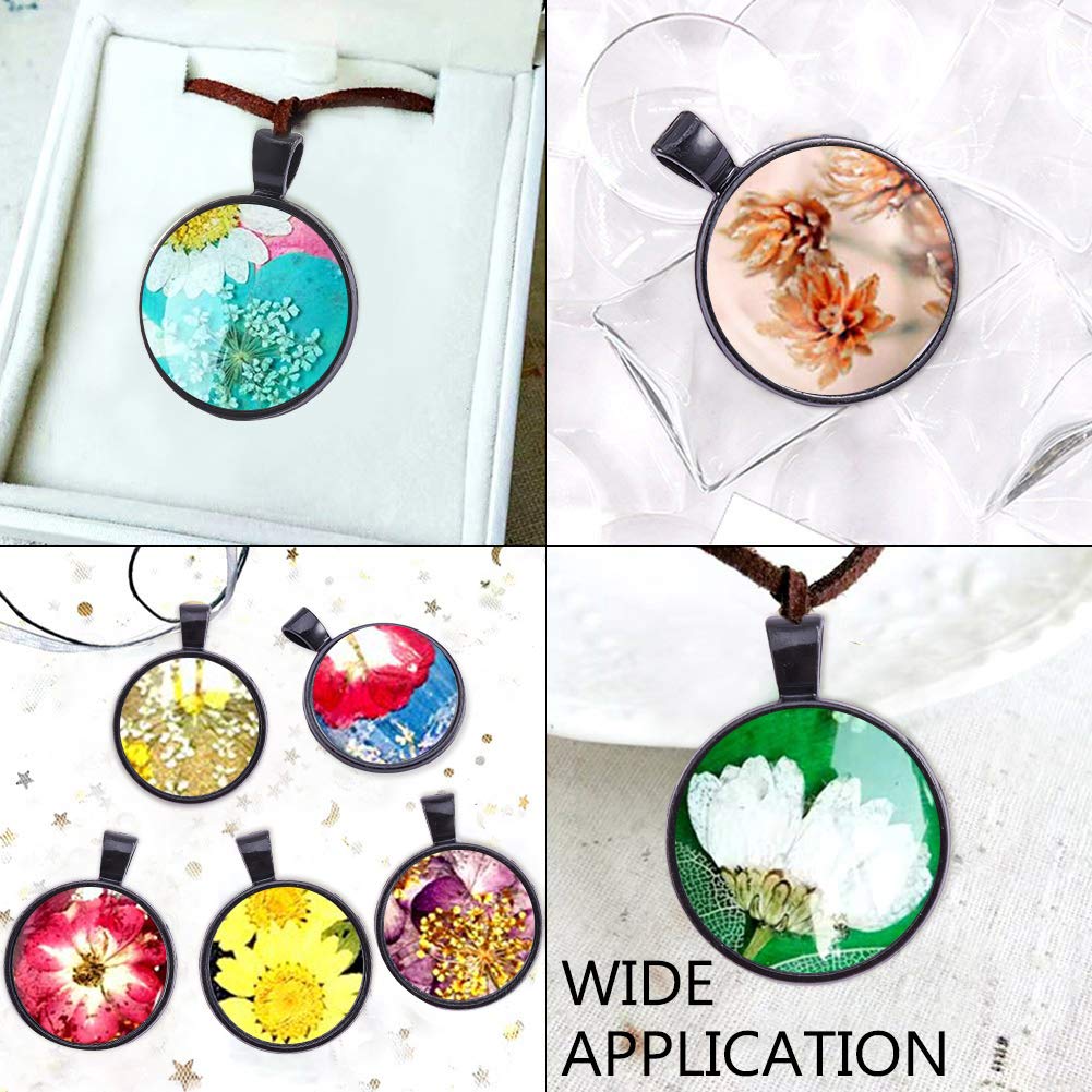 PH PandaHall 20 Ensembles de Plateaux à Pendentif éléphant, Charmes de Photos d'animaux avec cabochon en Verre Transparent Pendentif Photo commémoratif pour la Fabrication de Bijoux de Fin d'études