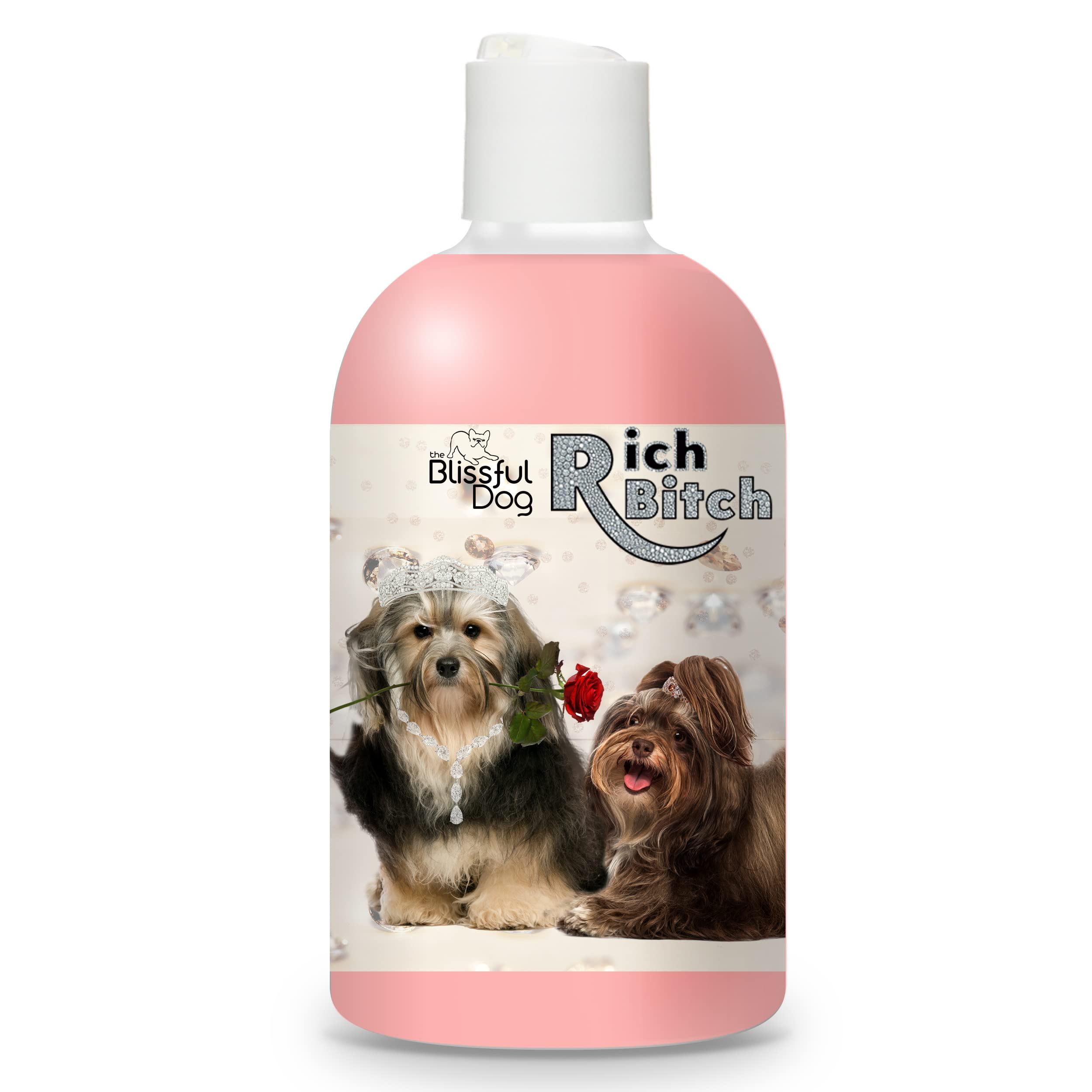 Are Havanese Dogs Expensive