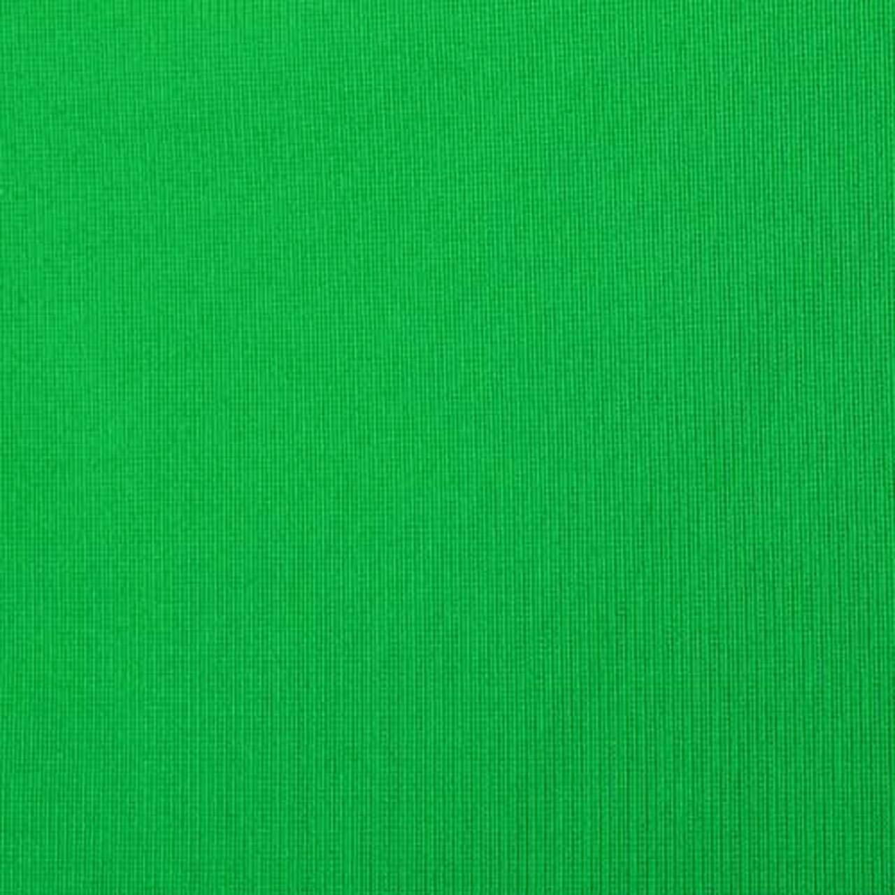 ProMaster : Amazon.com 200cm グリーンスクリーン Wrinkle Chroma - 10'x20' Backdrop Resistant プロジェクター