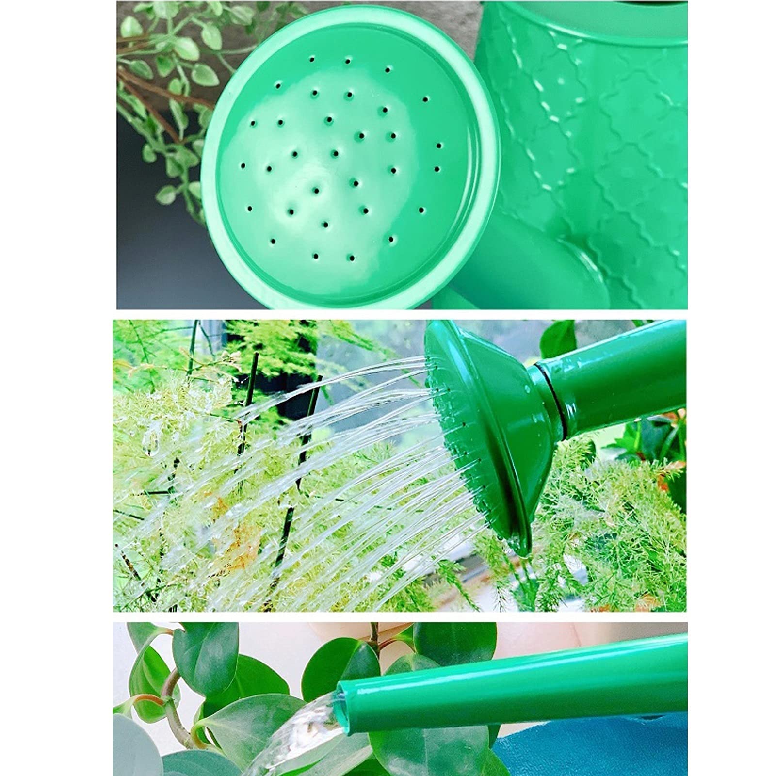 Esta regadera, regadera de jardín, regadera de Metal de 1,6 L, regadera de Estilo Moderno con asa y Cabezal de Rosa, regadera para Flores, regadera Verde y Amarilla para Plantas de Exterior