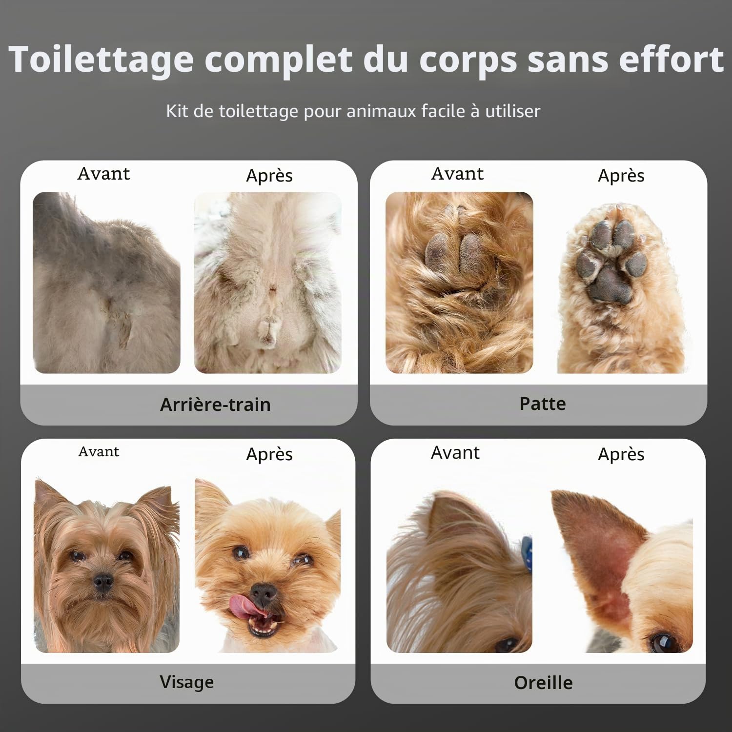Tondeuses Chiens et Tondeuse pour Pattes de Chien 3 en 1,Sans fil, Cilencieuse et Puissante pour Poils Longs et épais,Noir