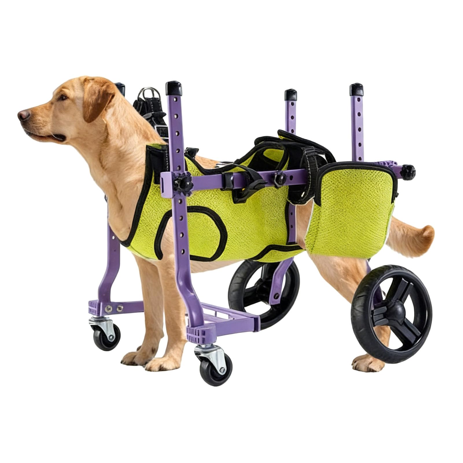 Garsent Sedia a Rotelle per Cani per Gambe Posteriori, Carrello per Sedie a Rotelle del Cane, Carrello Posteriore per Cani a 4 Ruote Integrate per Cani per Esterno e Aiuti di mobilità
