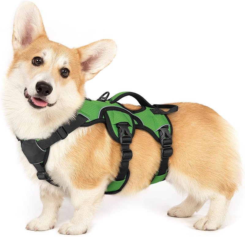 Peitoral Vest para Cães rabbitgoo com Alça de Controle e 5 Ajustes DTLGBD01SGN23CW-EU