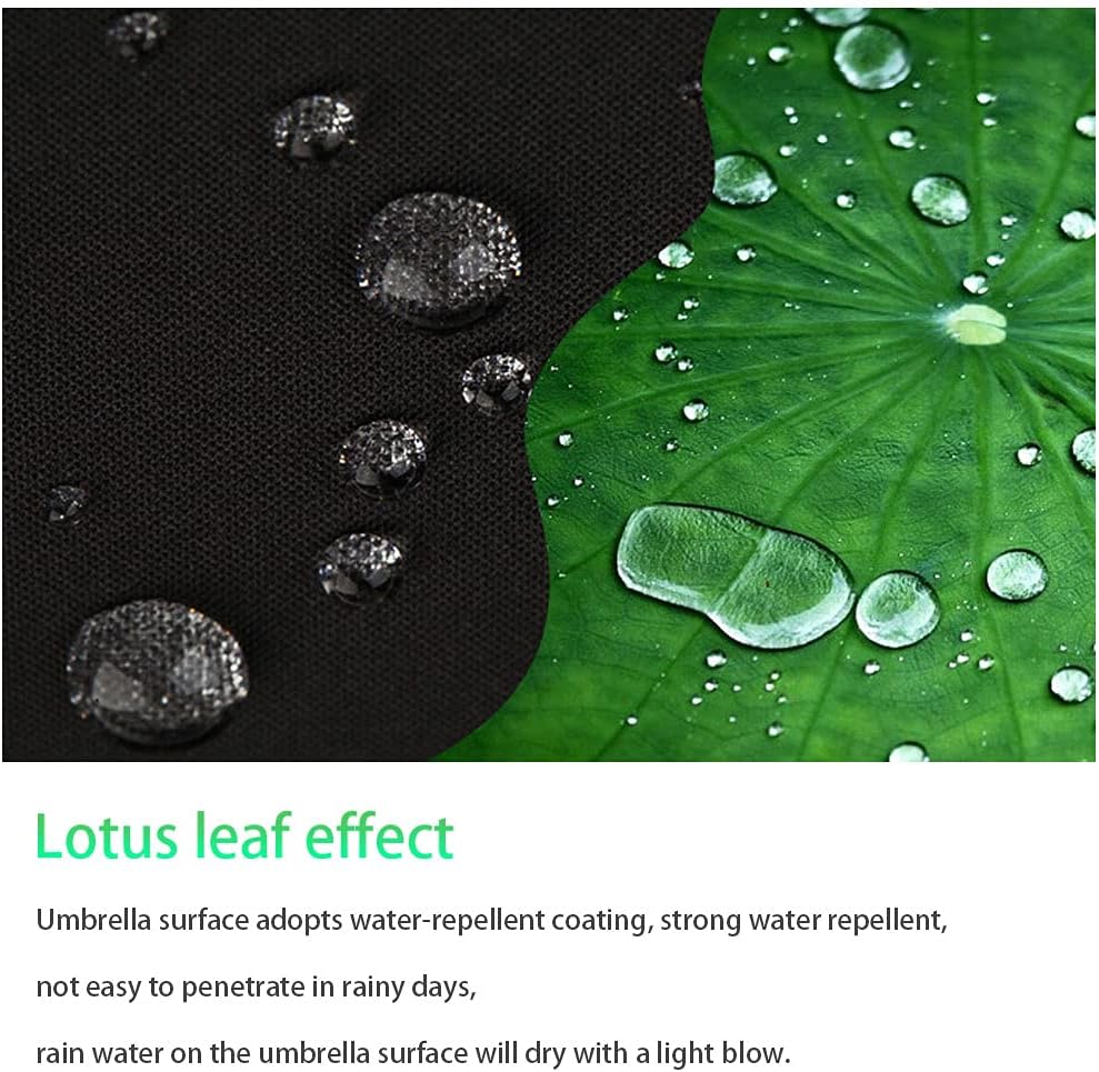 review Travel Umbrella - baiamser Compact, Light, Automatic, Wind Resistant, Small Rain Umbrellas Windproof Creative Umbrella for Women & Men, Creative Gift for Your Parents, Friends and Colleagues