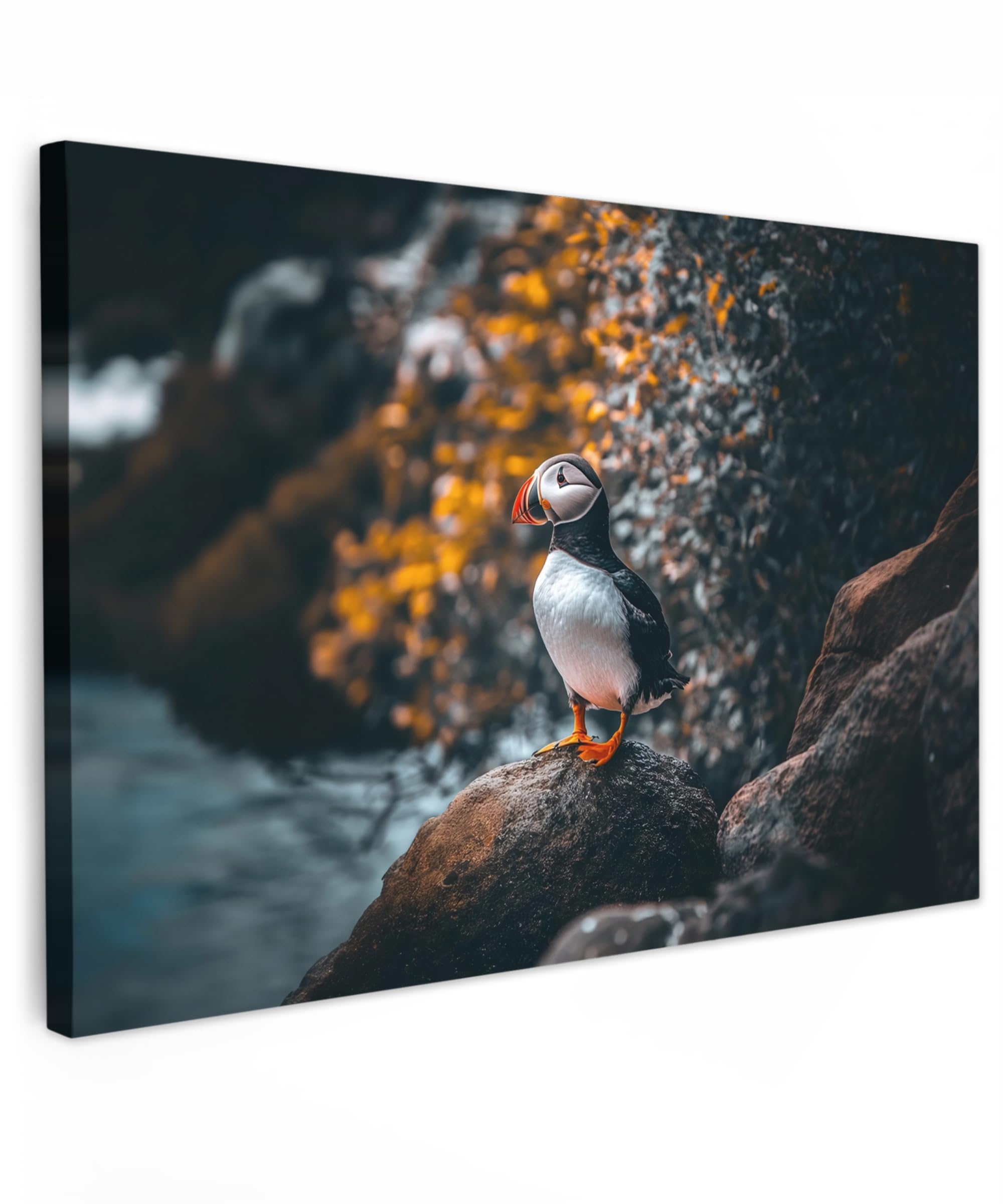 MuchoWow© Canvas Wall Art Work 47"x31" / 120x80 cm House Decoration for Living Room Home Decor Pictures Walls Parrot - Rock - White - Bird