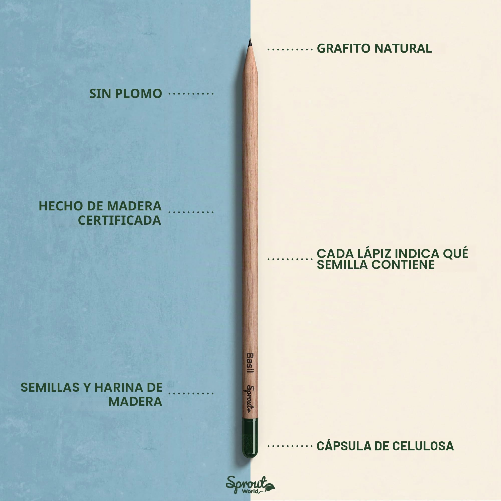 Sprout World Lápices Plantables Everyday Earth, Pack de 12 con semillas | Lápices de grafito con 6 semillas de flores, hierbas y frutas, regalo ecológico para escribir y plantar, para escuela y casa