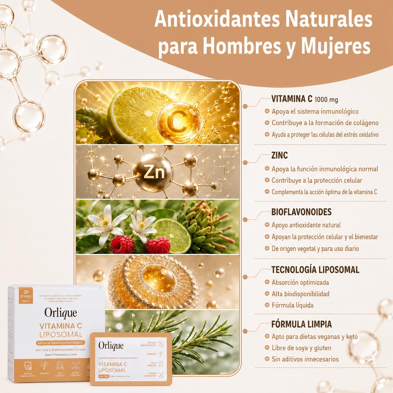 Liposomales Vitamin C 1000mg - Hochdosiert Flüssig mit Zink & Bioflavonoiden - Vegan & Keto-freundlich - Hohe Bioverfügbarkeit - 30 Sachets - Ohne Soja/Gluten, Natürliche Konservierung