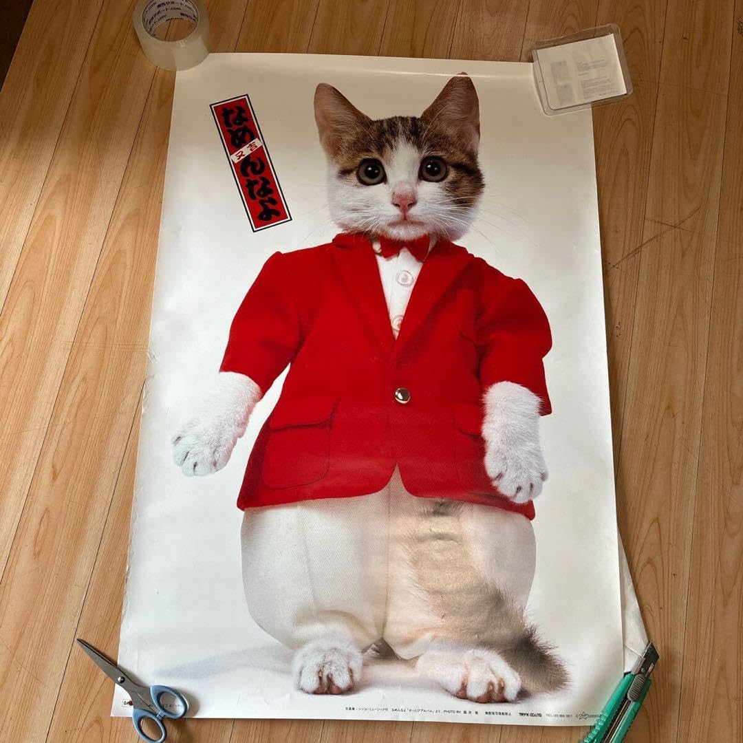 Amazon.co.jp: レトロ なめ猫 なめんなよ 暴走族 ポスター : ホビー