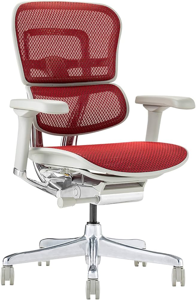 Amazon.co.jp: エルゴヒューマン2(ergohuman2) オフィスチェア Amazon.co.jp: エルゴヒューマン2(ergohuman2) オフィスチェア