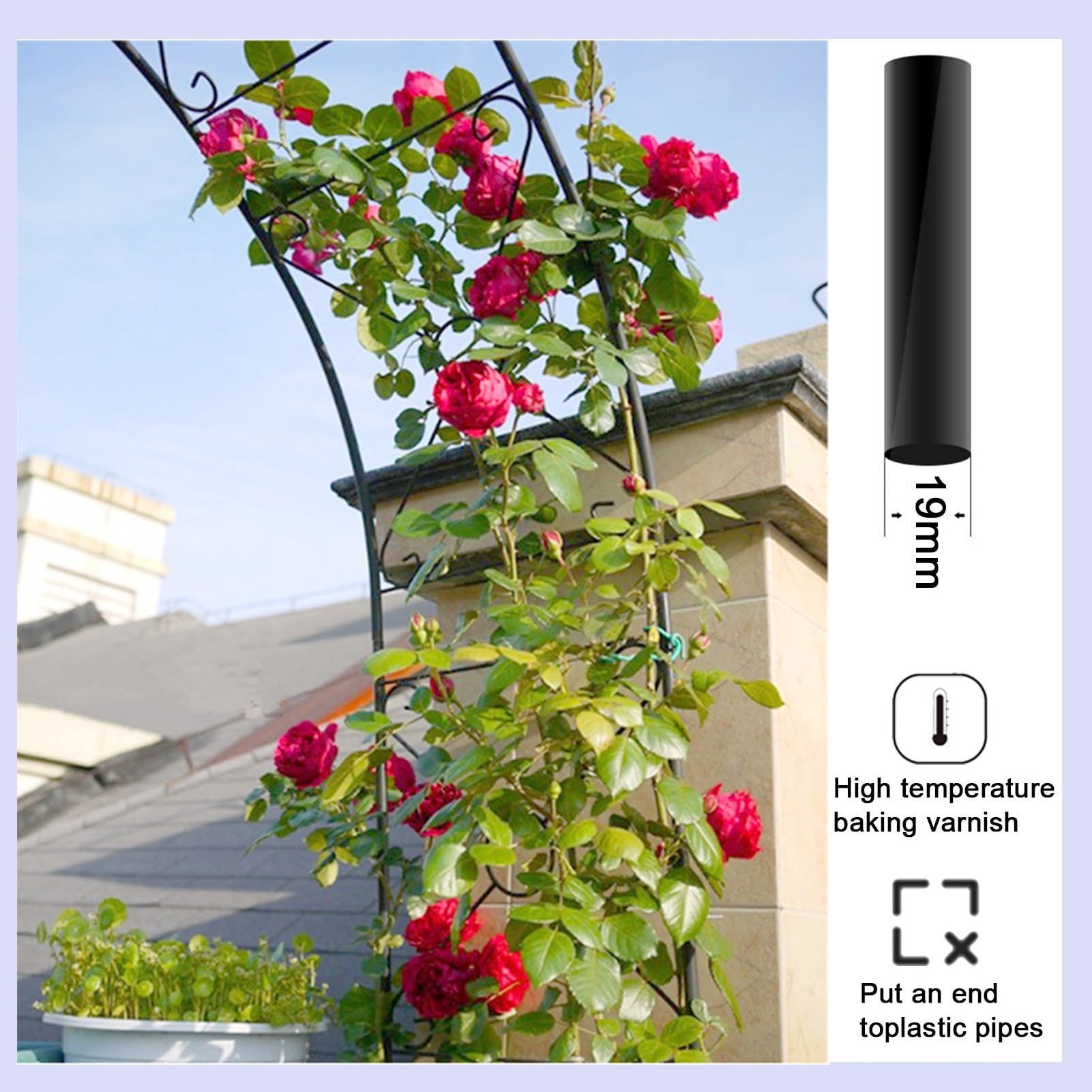 Treillis en métal pour plantes grimpantes – Support de vigne florale en fer pour décoration extérieure, allées de jardin et aménagement paysager, parfait pour les roses et autres vignes
