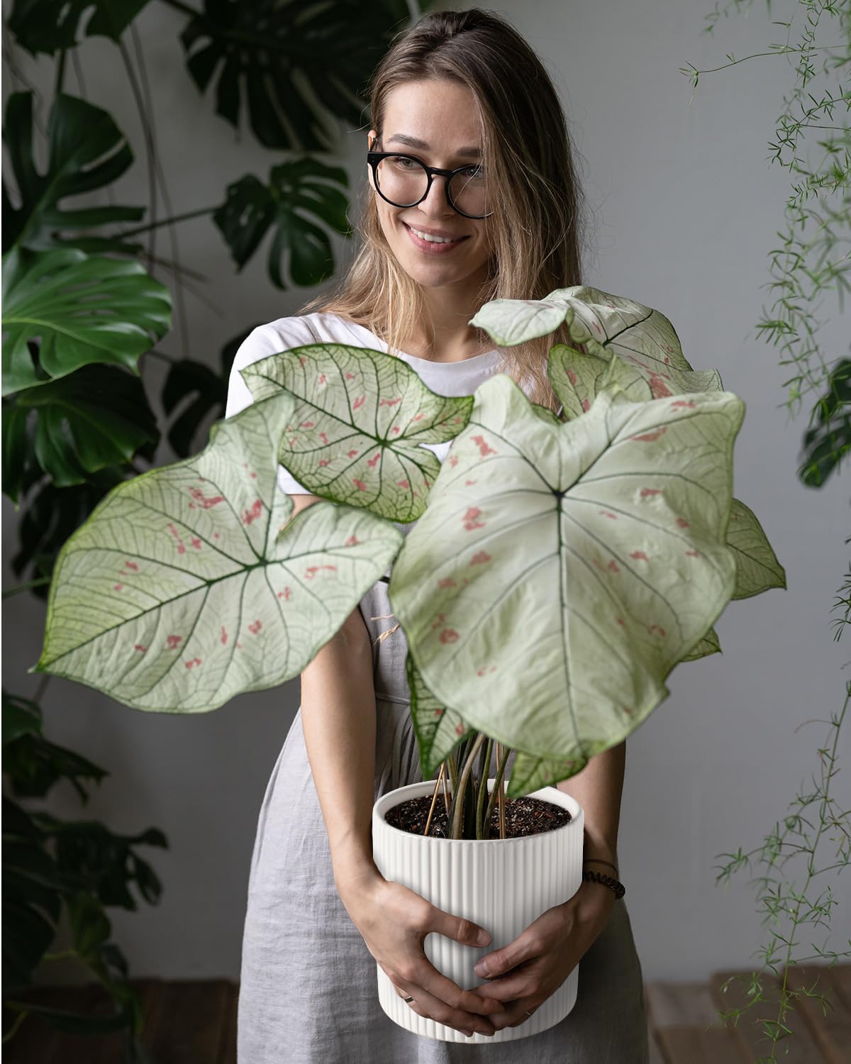 Amazon.co.jp: Swkien 8インチ 植木鉢、屋内植物用プランター、排水穴