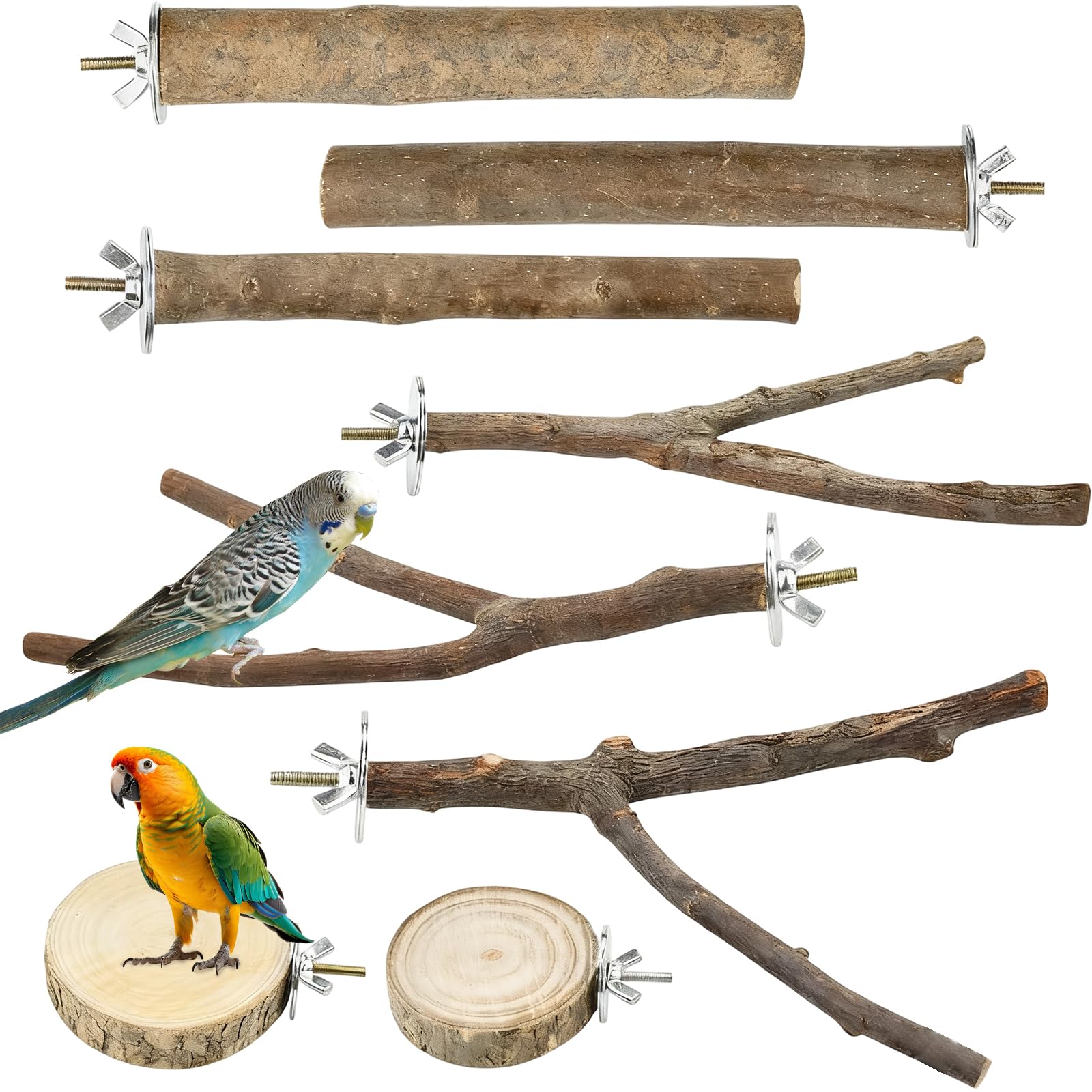 Set di 8 posatoi per uccelli, in legno naturale, per uccelli, accessori per uccelli, accessori per pappagallini, canarini, parrocchetti, uccelli diversi