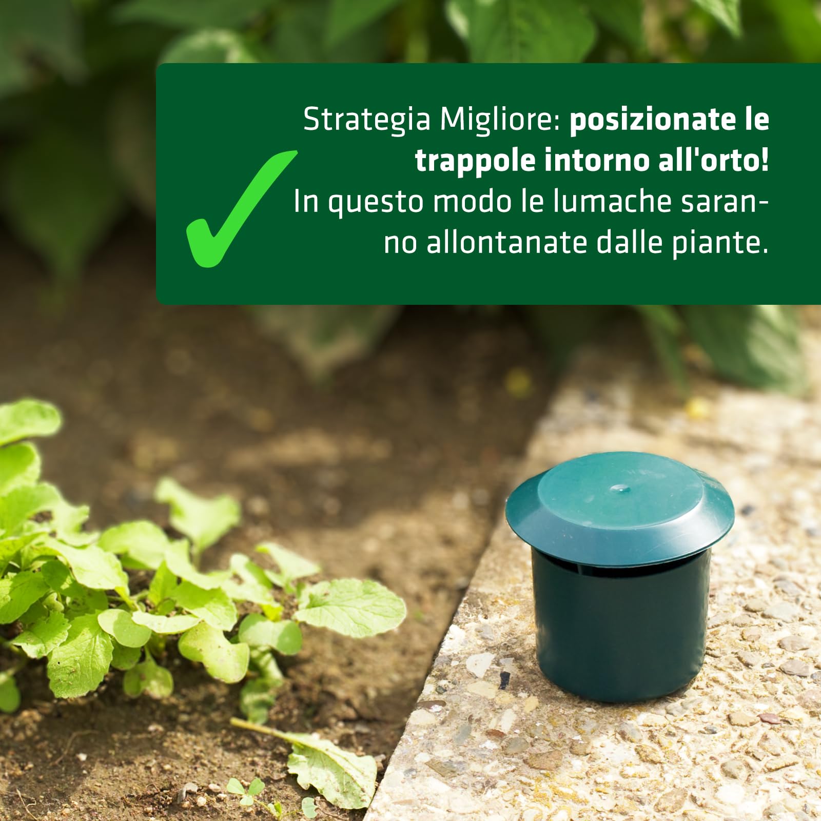 GARDIGO® 12x Trappole per Lumache | Lumachicida Biologico per Orto | Trappola Biologica per Lumache per Giardino | Antilumaca per Giardino | Cattura Lumache | Repellente Lumache