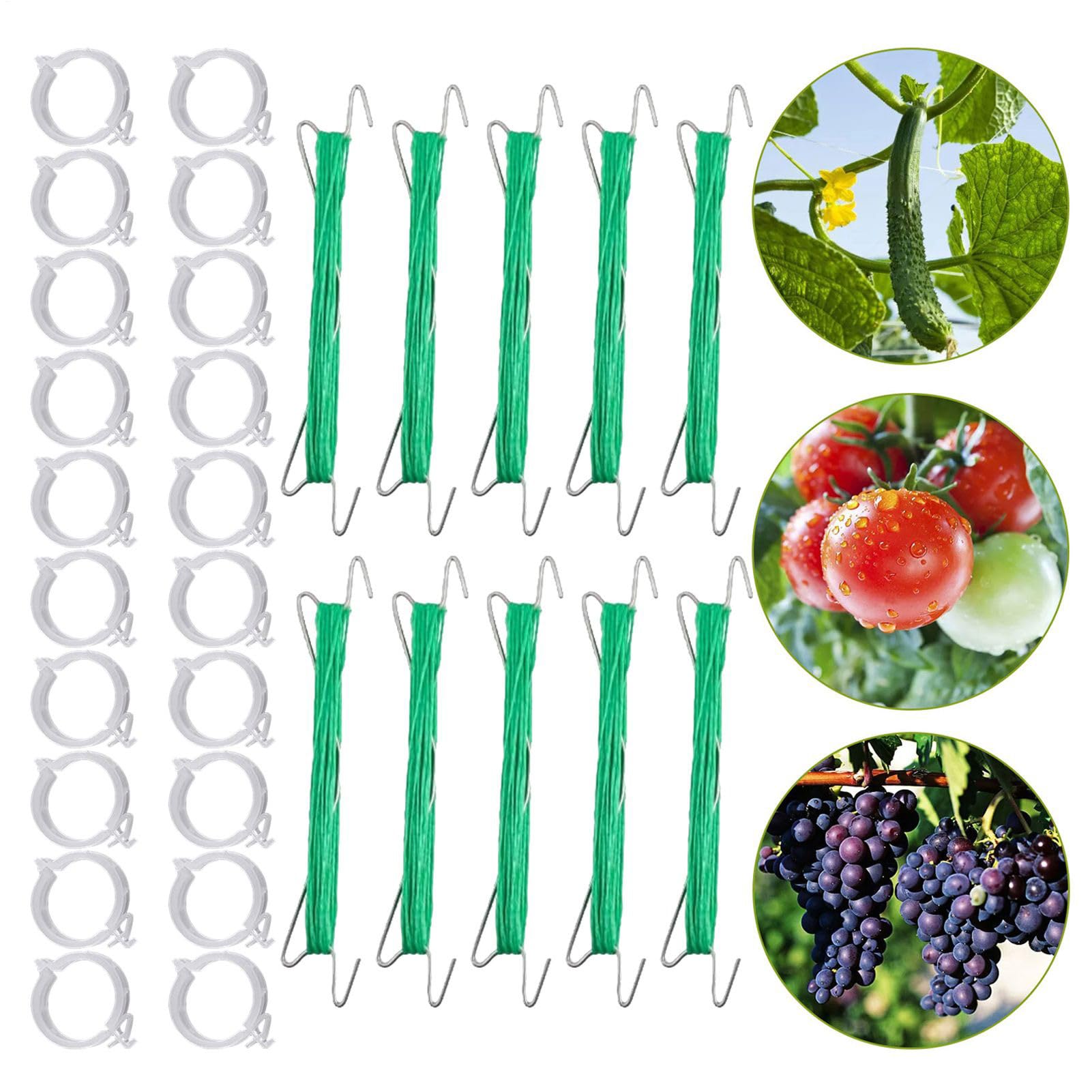 Supporto per pomodori – Supporto da giardino per piante rampicanti, 40 pezzi di fissaggio con clip per uva, cetrioli, meloni
