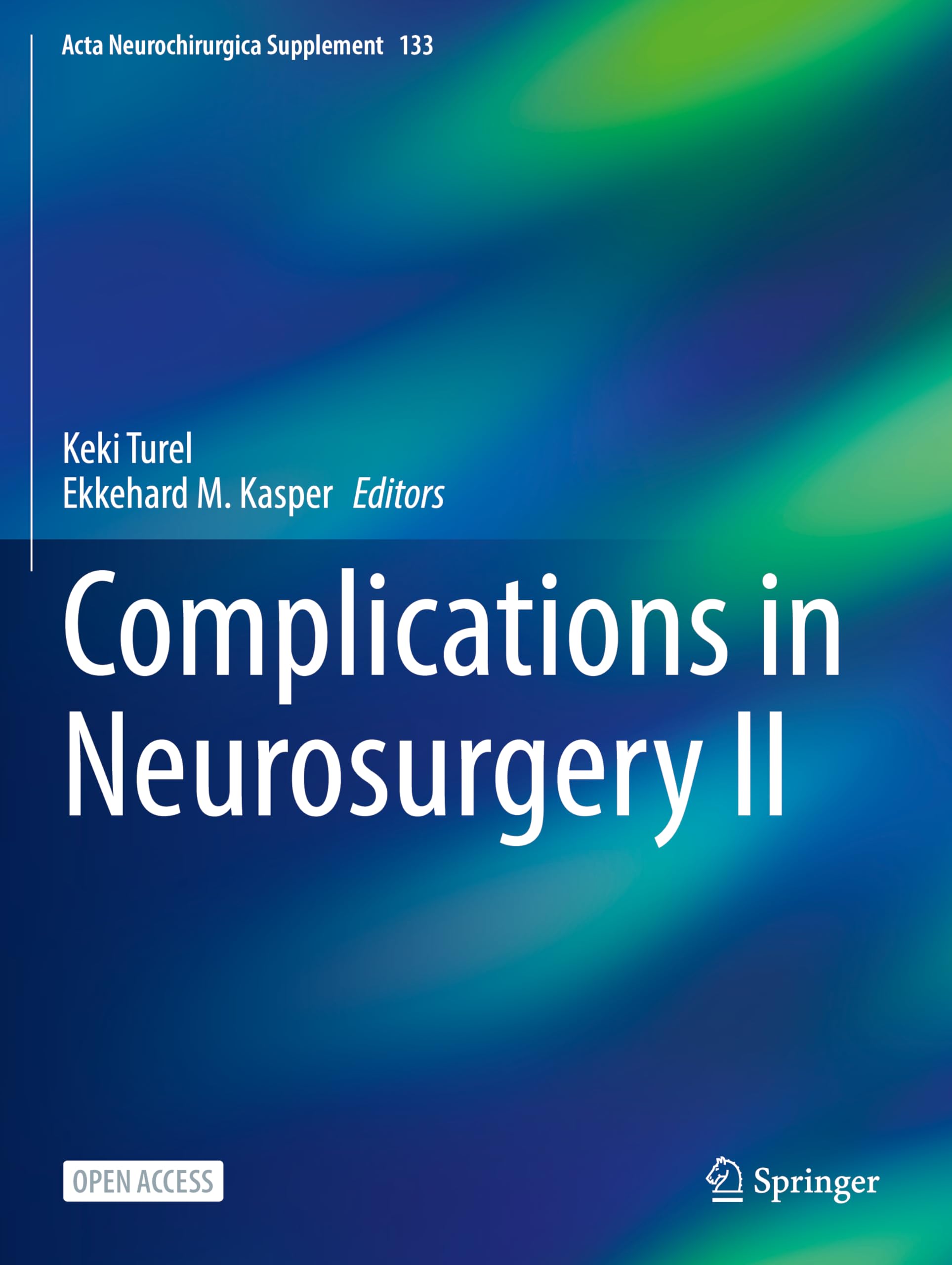 Complications in Neurosurgery II (Acta Neurochirurgica Supplement, 133)
