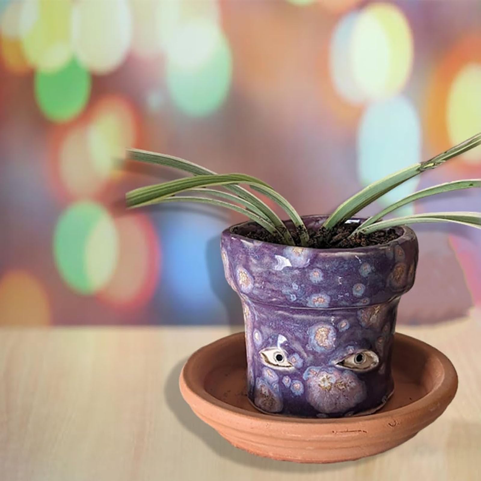 Amazon.co.jp: Zhuaguo ハンドメイド泣く植木鉢、面白い目の植木鉢