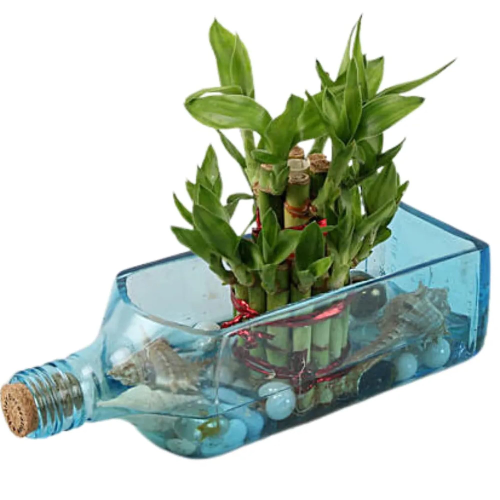 Vibrant Green Glass Bottle Hanging Planter for Indoor and Outdoor Plants, Multicolour, Recycled Glass, 24x8x8 cm-image-8