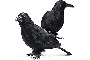 Eye-catching Realistic Black Crow Halloween Décor