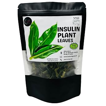 Insulin Plant Leaves Tea 1oz28g Natural Costus Igneus Dried Insulin Leaves