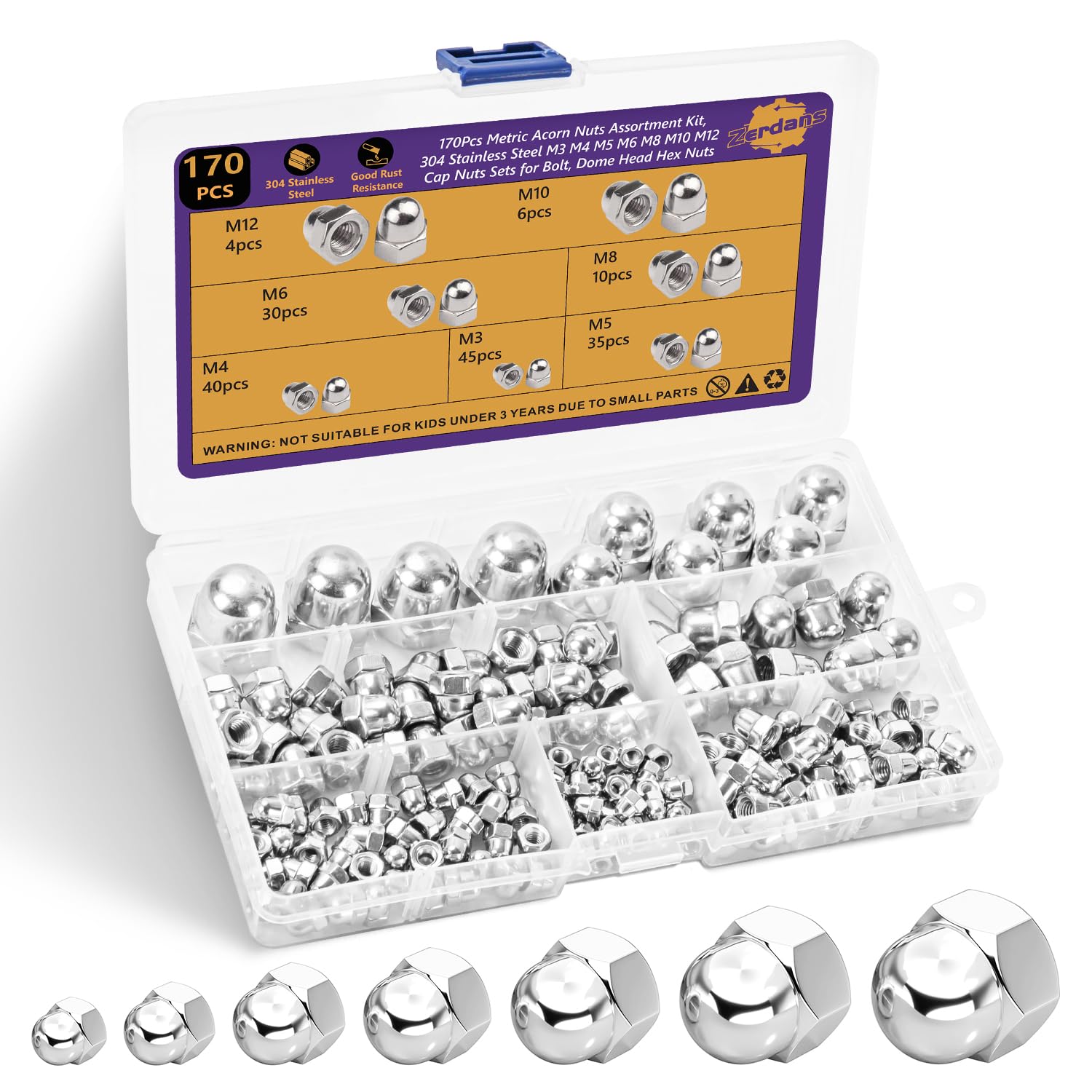 Acorn Nuts, 170Pcs 304 Stainless Steel Cap Nut Assortment Kit - M3 M4 M5 M6 M8 M10 M12 Cap Nuts with Dome Head Acorn Nut Caps for Auto,Furniture & DIY