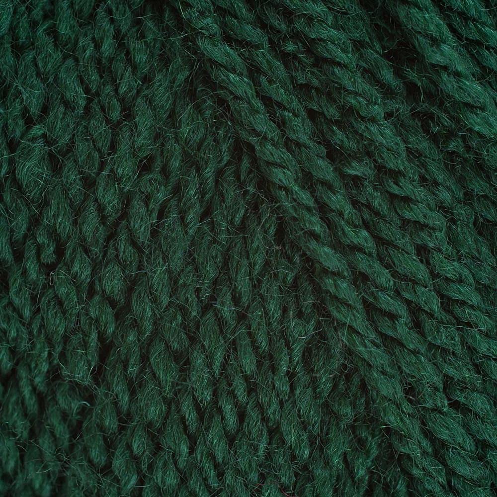 Stylecraft Special DK Knitting Wool / Yarn 100g - 1009 BOTTLE