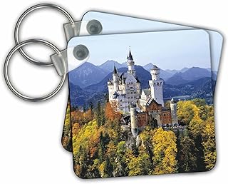 3dRose Neuschwanstein castle, Bavaria, Germany - EU10 RER0071 - Ric Ergenbright - Key Chains, 2.25 x 2.25 inches, set of 2 (kc_81792_1)