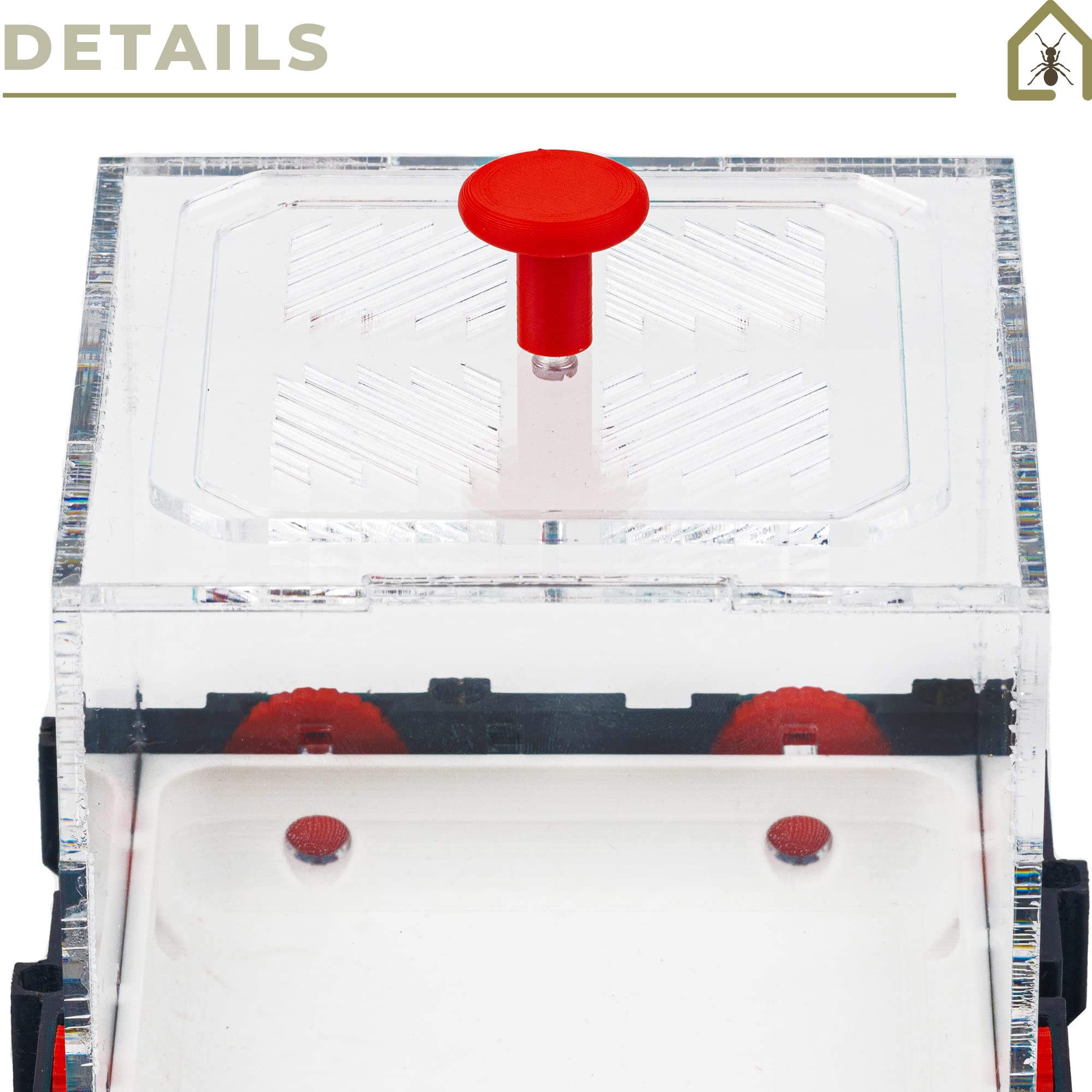 Anthouse.es - Caja de Forrajeo para Hormigueros Modulares 3D - QBIK Quadra - Terrario Colonias de Hormigas Jóvenes - Sistema Ergonómico y Fácil de Ampliar -12,78x12,78x12,70 cm
