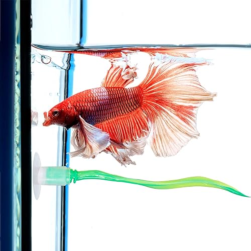 Miniatura 4 de WILLBOND Hamaca de silicona de 2 piezas para peces Betta, cama de pez Betta, práctico lugar de descanso, sin BPA, cómoda y segura (verde)