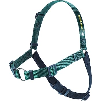 happy at heel harness amazon