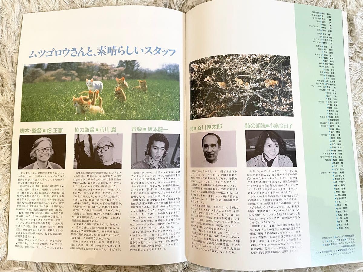 Amazon.co.jp: 1986年 映画 子猫物語 パンフレット 坂本龍一