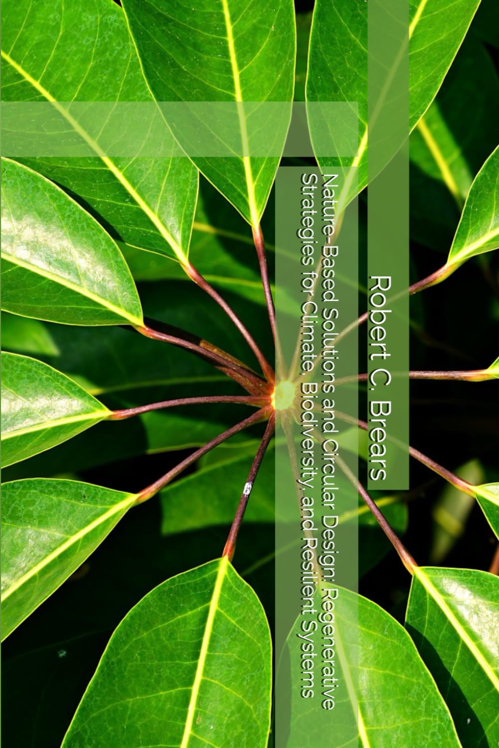 Nature-Based Solutions and Circular Design: Regenerative Strategies for Climate, Biodiversity, and Resilient Systems