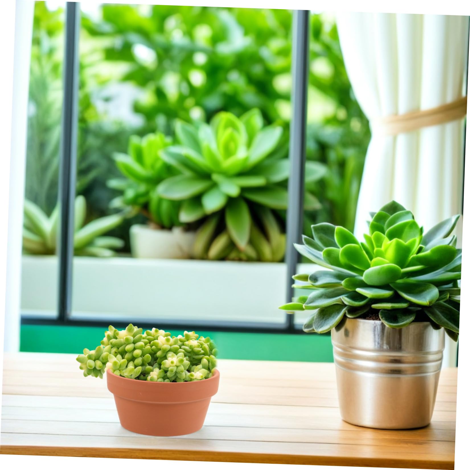 Lot de 6 Mini Pots en Terre Cuite Rouge 11x6 Cm Jardinières de Rebord de Fenêtre pour Succulentes Pots de Fleurs en Argile Absorbante Drainage Naturel D’intérieur Compact