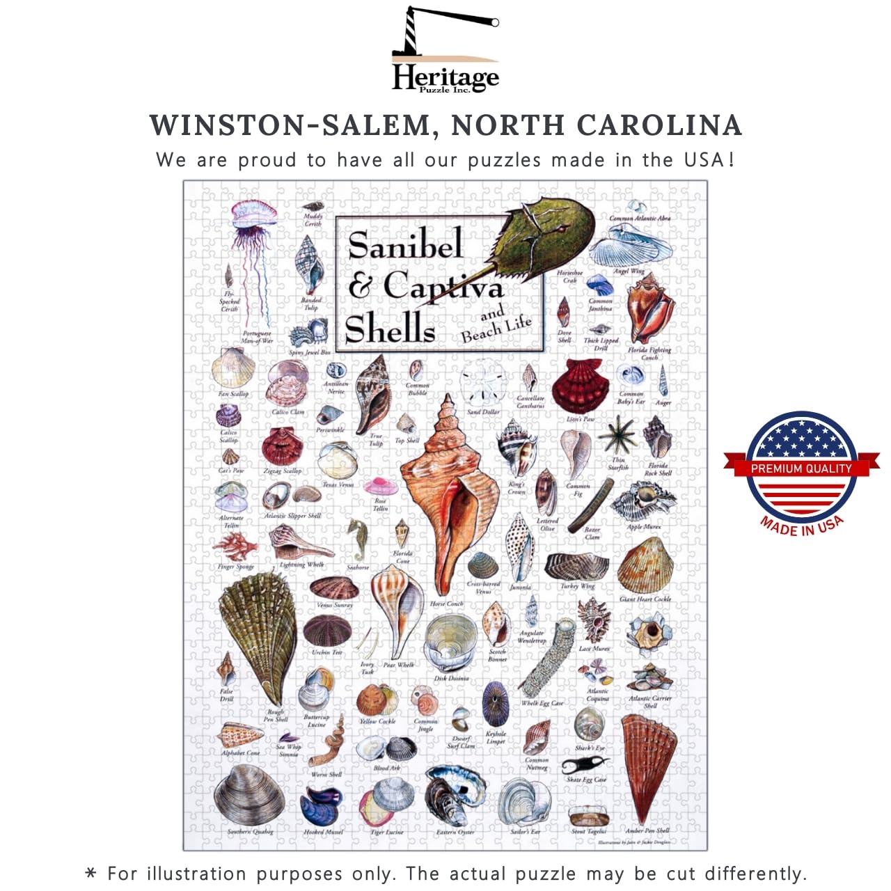 Amazon.com: Heritage Puzzle - Shells of Sanibel & Captiva by John