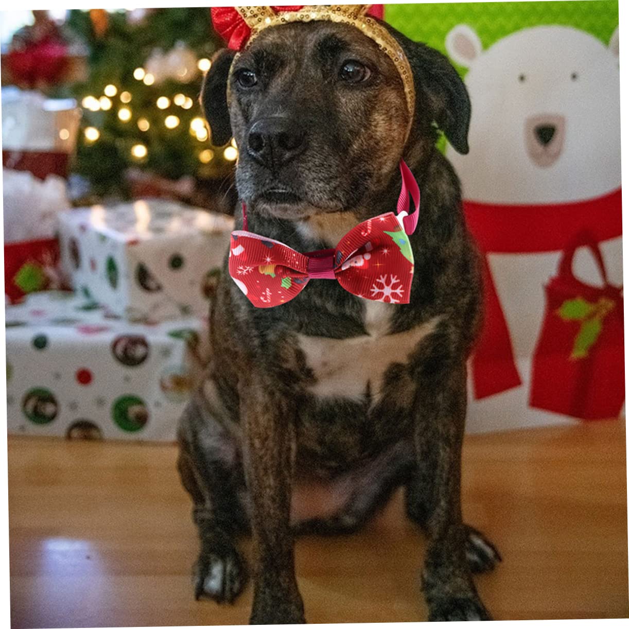 Sosoport 32stücke Weihnachtliches Haustierhalsband Teiliges Mit Verstellbaren Fliegen Für Katzen Und Hunde Komfortable Leichte Und Süße Weihnachtsaccessoires Für Ihr Haustier