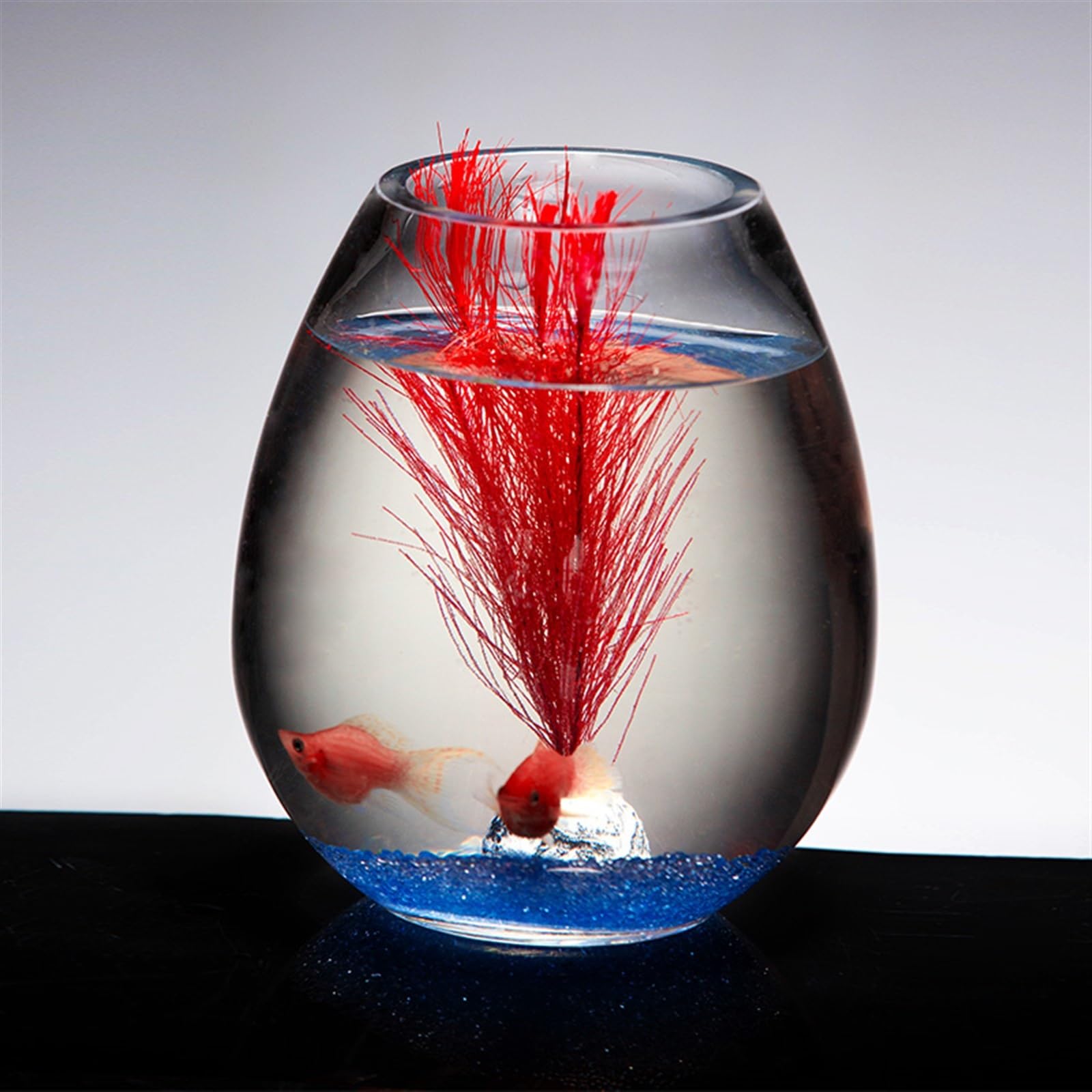 Petit aquarium en verre pour poissons rouges de combat, décoration de salon