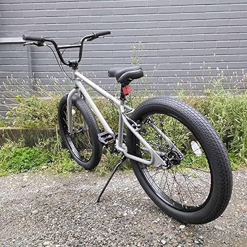 COCHORN BMX 22インチ シルバー不具合無し6段変速 COCHORN BMX 22インチ シルバー不具合無し6段変速 COCHORN BMX 22